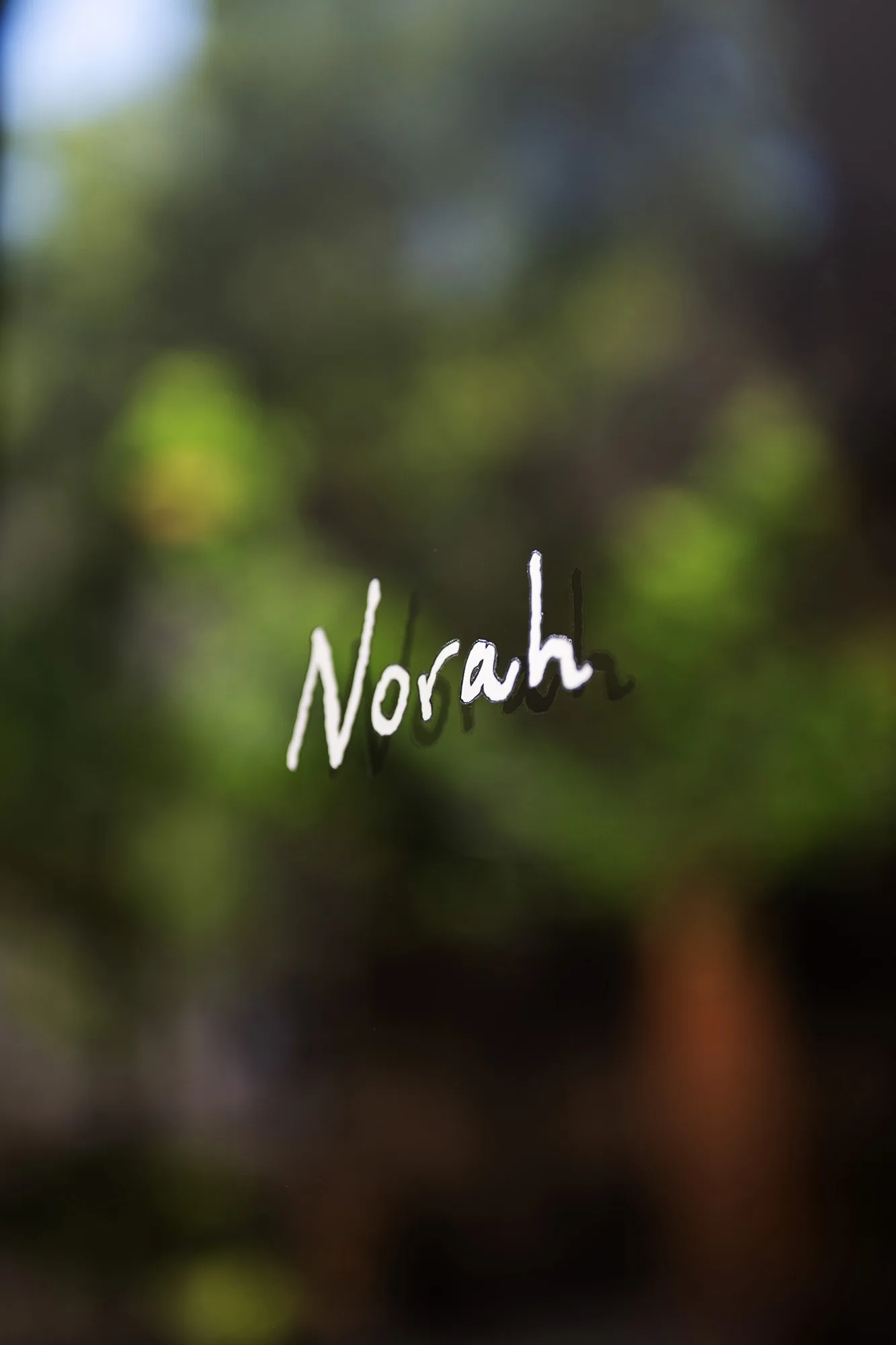 Norah Ansón+Bonet